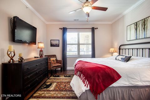 Tiny photo for 338 Shooting Star Loop #203, Townsend, TN 37882 (MLS # 1336002)