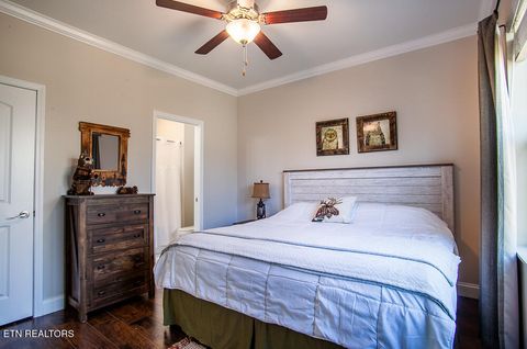 Tiny photo for 338 Shooting Star Loop #203, Townsend, TN 37882 (MLS # 1336002)