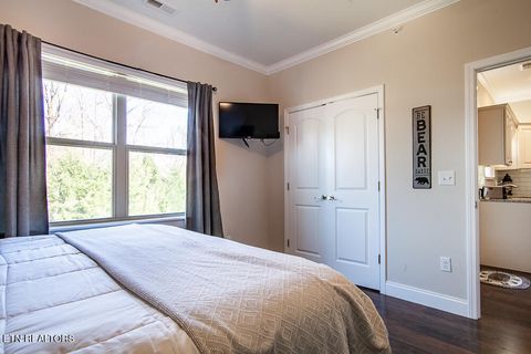 Tiny photo for 338 Shooting Star Loop #203, Townsend, TN 37882 (MLS # 1336002)