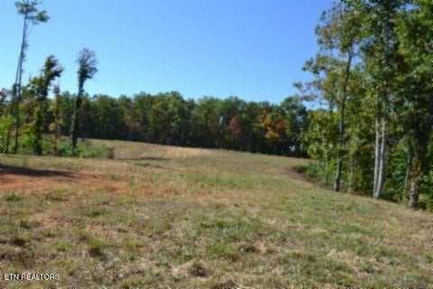 Photo of 1127 NE Rock Springs Rd, Celina, TN 38551 (MLS # 1358638)