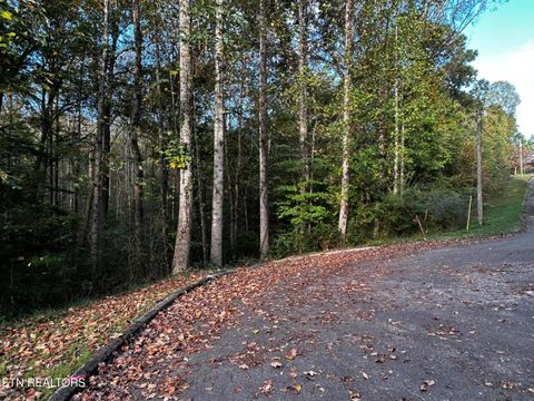 Photo of 13 Trenton Lane, Clinton, TN 37716 (MLS # 1319940)