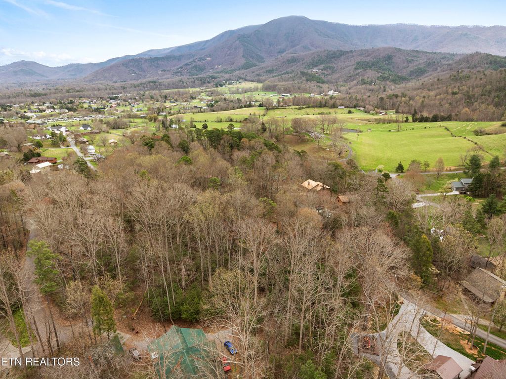 Photo of 3840 Saddle Brook Way, Sevierville, TN 37862 (MLS # 1334188)