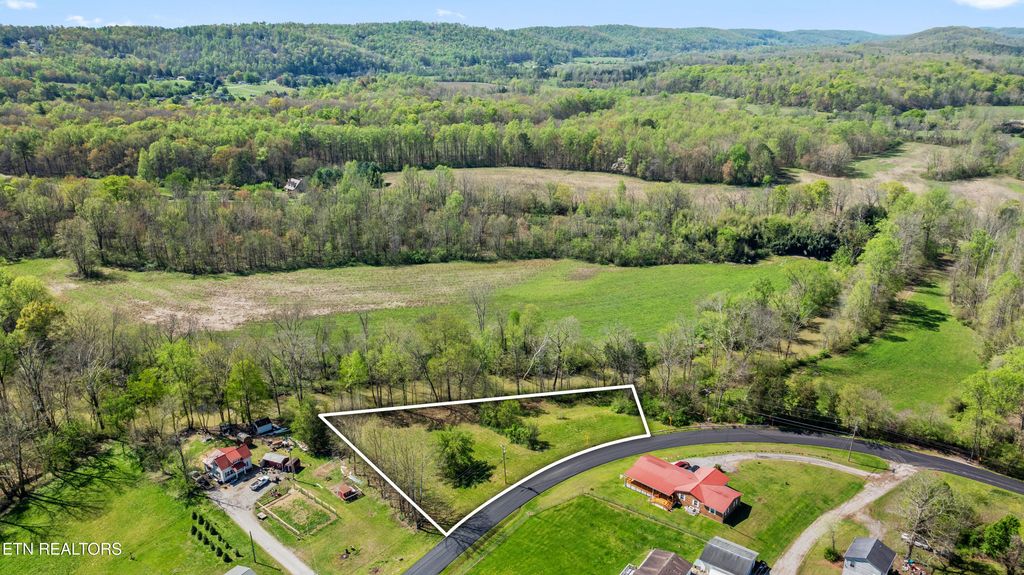 Photo of Old Harriman Hwy, Oliver Springs, TN 37840 (MLS # 1296728)