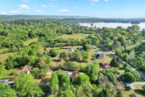 Tiny photo for 225 Laurel Drive, Spring City, TN 37381 (MLS # 1336759)