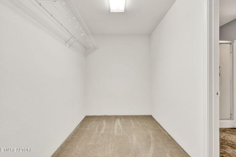 Tiny photo for 225 Laurel Drive, Spring City, TN 37381 (MLS # 1336759)