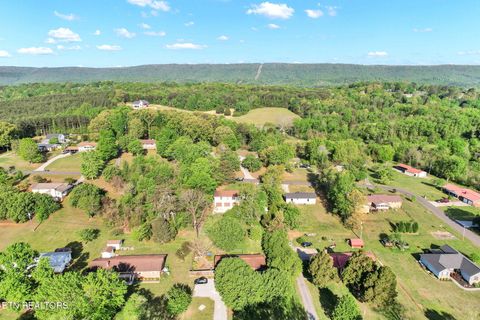 Tiny photo for 225 Laurel Drive, Spring City, TN 37381 (MLS # 1336759)