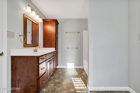 Tiny photo for 225 Laurel Drive, Spring City, TN 37381 (MLS # 1336759)