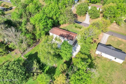 Tiny photo for 225 Laurel Drive, Spring City, TN 37381 (MLS # 1336759)