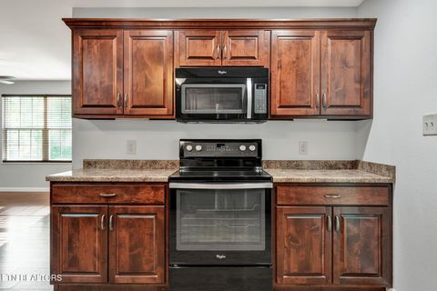 Tiny photo for 225 Laurel Drive, Spring City, TN 37381 (MLS # 1336759)