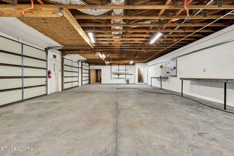 Tiny photo for 225 Laurel Drive, Spring City, TN 37381 (MLS # 1336759)