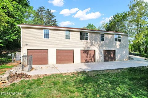 Tiny photo for 225 Laurel Drive, Spring City, TN 37381 (MLS # 1336759)