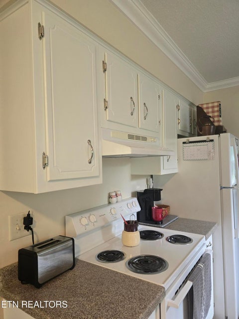 Tiny photo for 196 Church Rd, LaFollette, TN 37766 (MLS # 1347377)