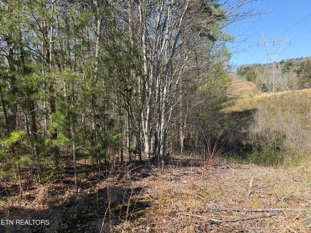Photo of 13320 New Highway 68 #N/A, Tellico Plains, TN 37385 (MLS # 1345506)