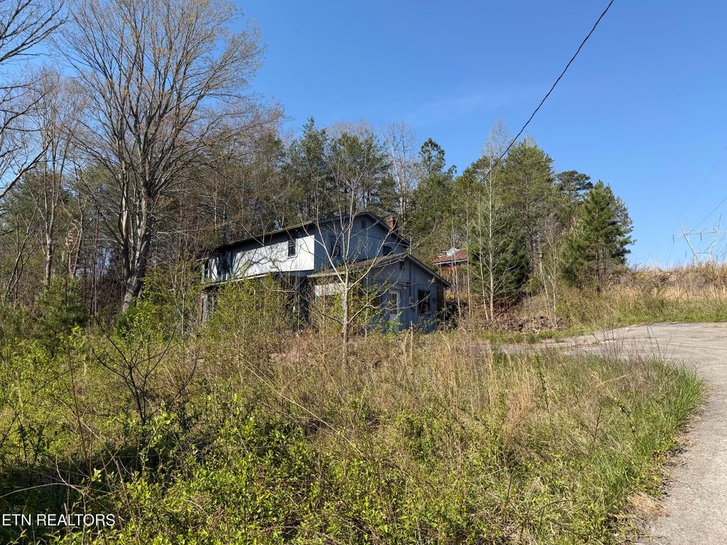 Photo of 13320 New Highway 68 #N/A, Tellico Plains, TN 37385 (MLS # 1345506)