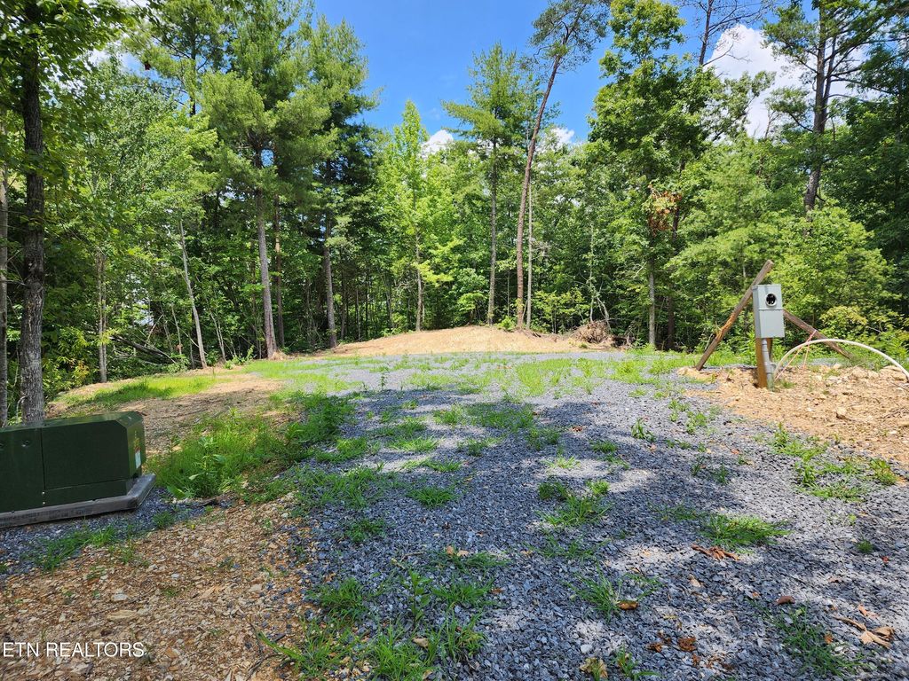 Photo of 000 Tiger Lilly Drive, Cosby, TN 37722 (MLS # 1282236)