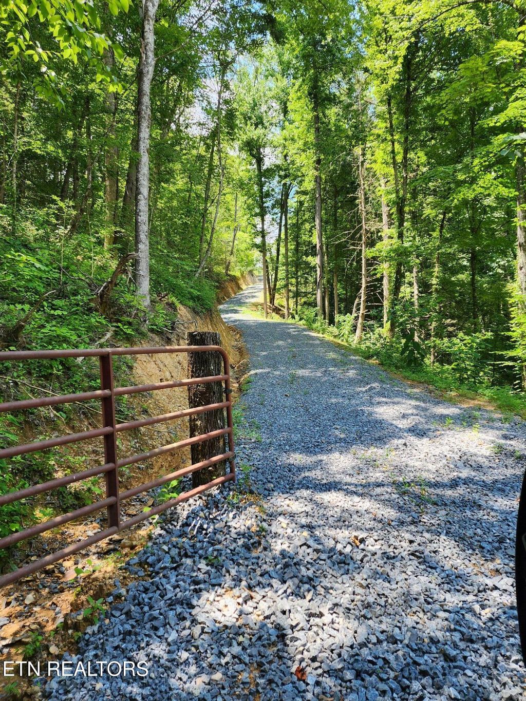 Photo of 000 Tiger Lilly Drive, Cosby, TN 37722 (MLS # 1282236)