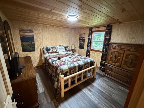 Tiny photo for 774 Tennessee 32, Cosby, TN 37722 (MLS # 1341987)