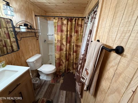 Tiny photo for 774 Tennessee 32, Cosby, TN 37722 (MLS # 1341987)