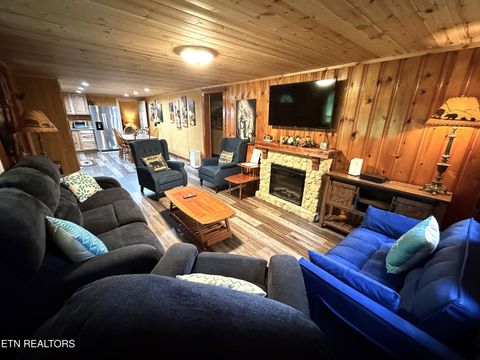 Tiny photo for 774 Tennessee 32, Cosby, TN 37722 (MLS # 1341987)