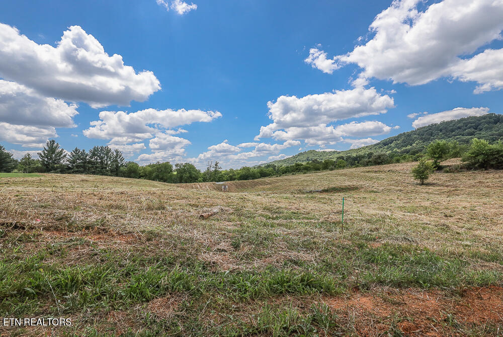 803 Franklin Crossing