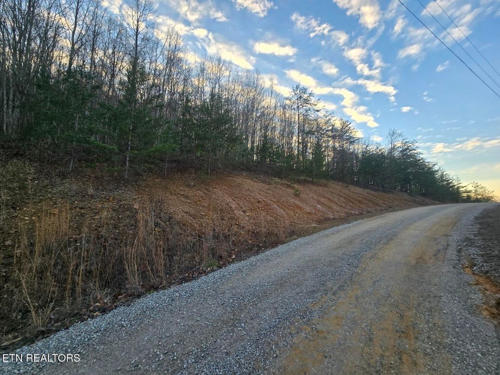 Photo of Crooked Branch Rd, Huntsville, TN 37756 (MLS # 1286900)