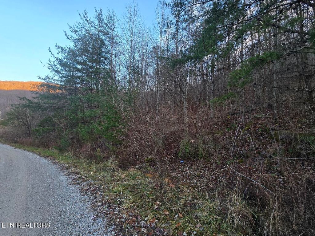 Photo of Crooked Branch Rd, Huntsville, TN 37756 (MLS # 1286900)