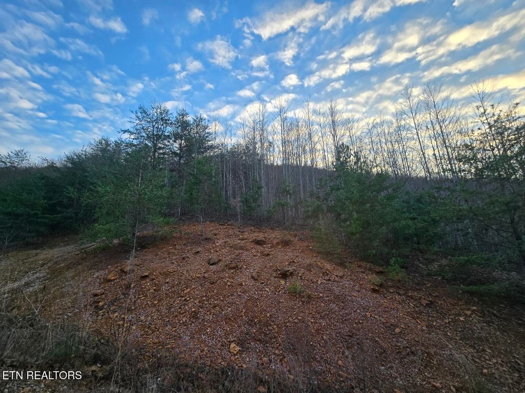 Photo of Crooked Branch Rd, Huntsville, TN 37756 (MLS # 1286900)