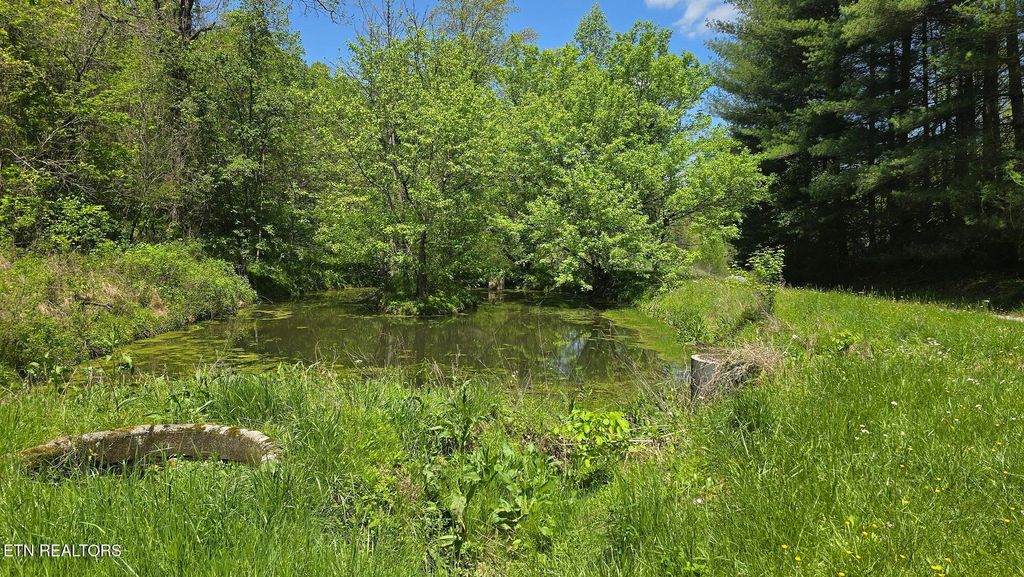 Photo of Dooley Hollow Rd, Ewing, VA 24248 (MLS # 1324674)