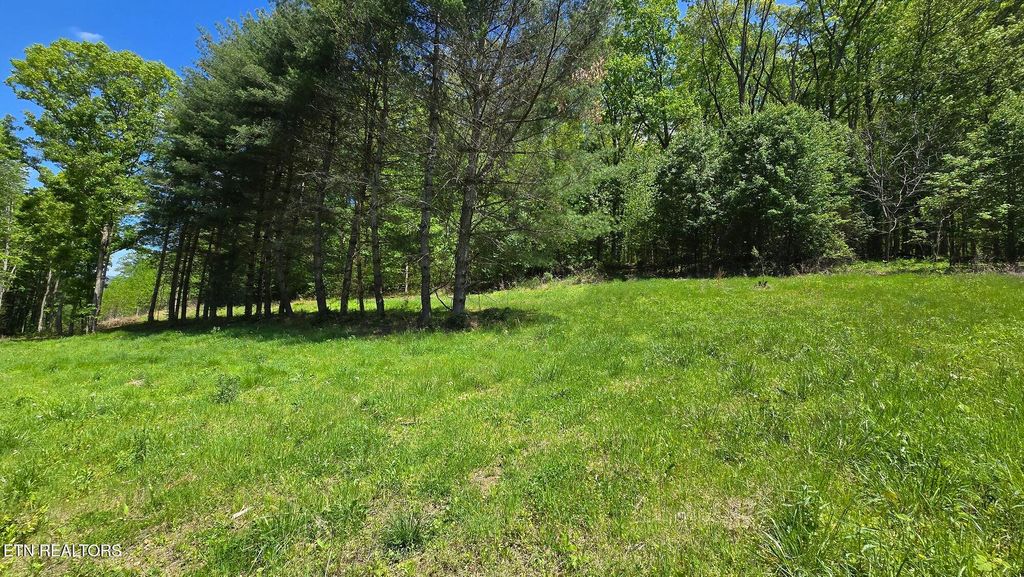 Photo of Dooley Hollow Rd, Ewing, VA 24248 (MLS # 1324674)