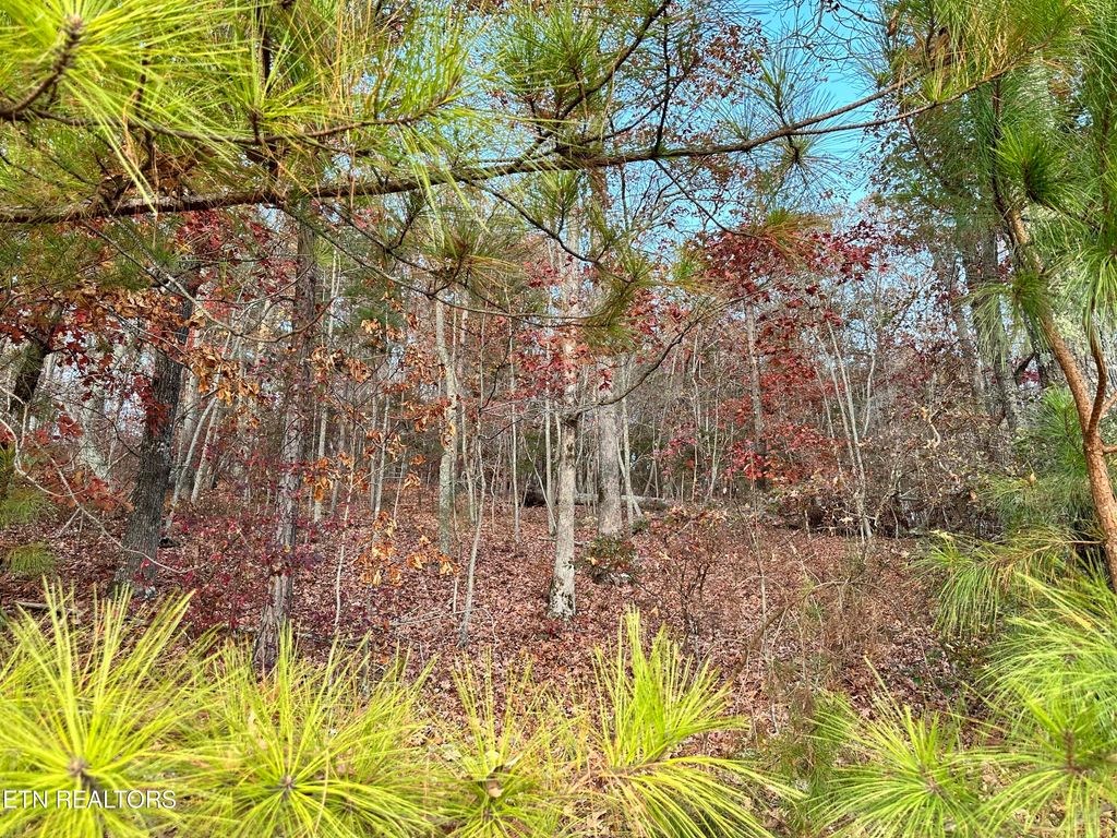 Photo of 726 Twin Lks Drive, Loudon, TN 37774 (MLS # 1331995)