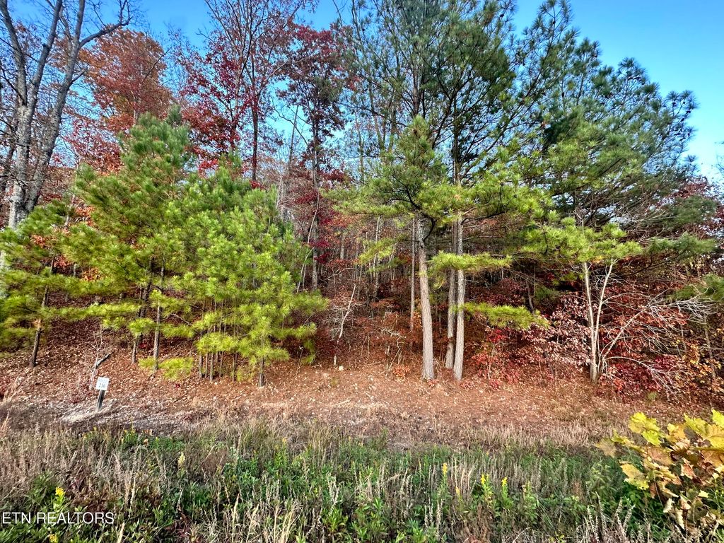 Photo of 726 Twin Lks Drive, Loudon, TN 37774 (MLS # 1331995)