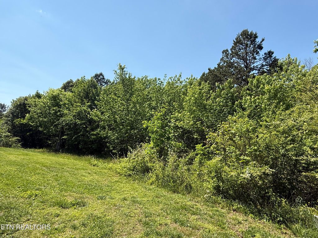 Photo of 2535 Steekee School Rd, Loudon, TN 37774 (MLS # 1338840)