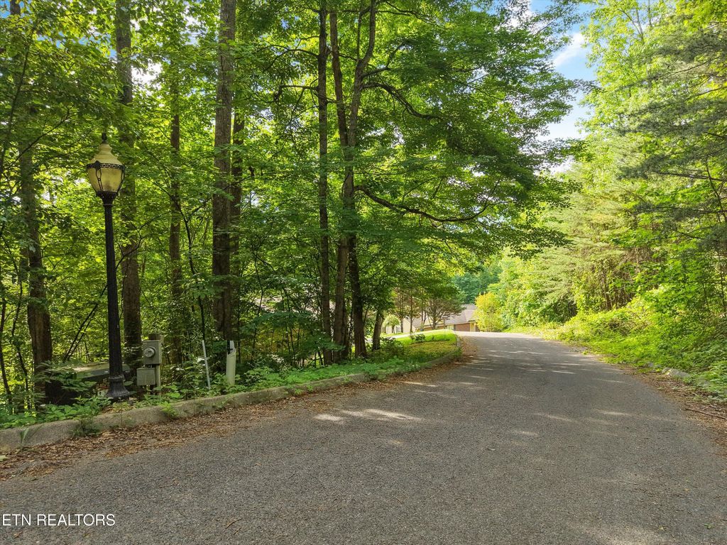 Photo of Country Mtn Rd #Lot 11, Cosby, TN 37722 (MLS # 1341692)