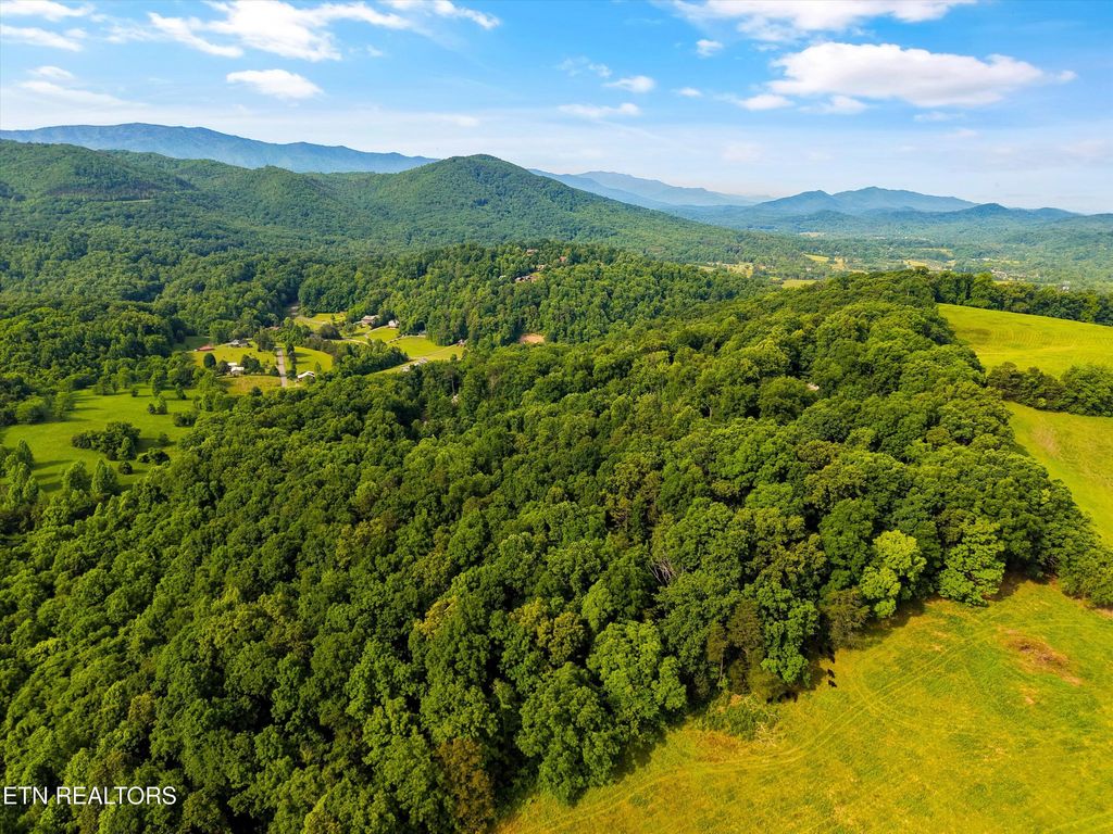 Photo of Country Mtn Rd #Lot 11, Cosby, TN 37722 (MLS # 1341692)