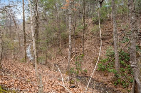 Tiny photo for 3401 Barber Way, Sevierville, TN 37862 (MLS # 1331332)