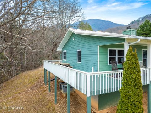 Tiny photo for 3401 Barber Way, Sevierville, TN 37862 (MLS # 1331332)