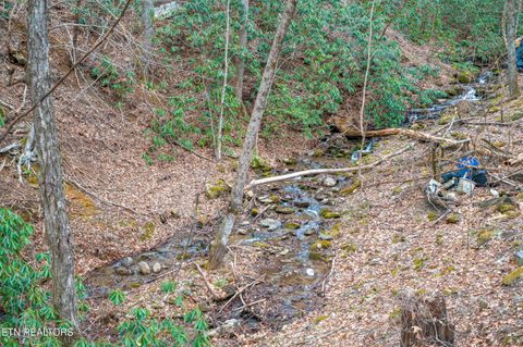 Tiny photo for 3401 Barber Way, Sevierville, TN 37862 (MLS # 1331332)