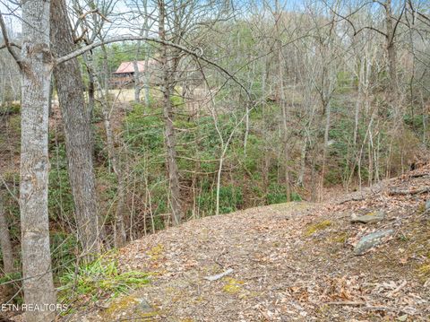 Tiny photo for 3401 Barber Way, Sevierville, TN 37862 (MLS # 1331332)