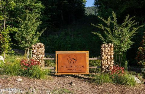 Tiny photo for Lot 15 Moody Moon Ridge Way, Newport, TN 37821 (MLS # 1332003)