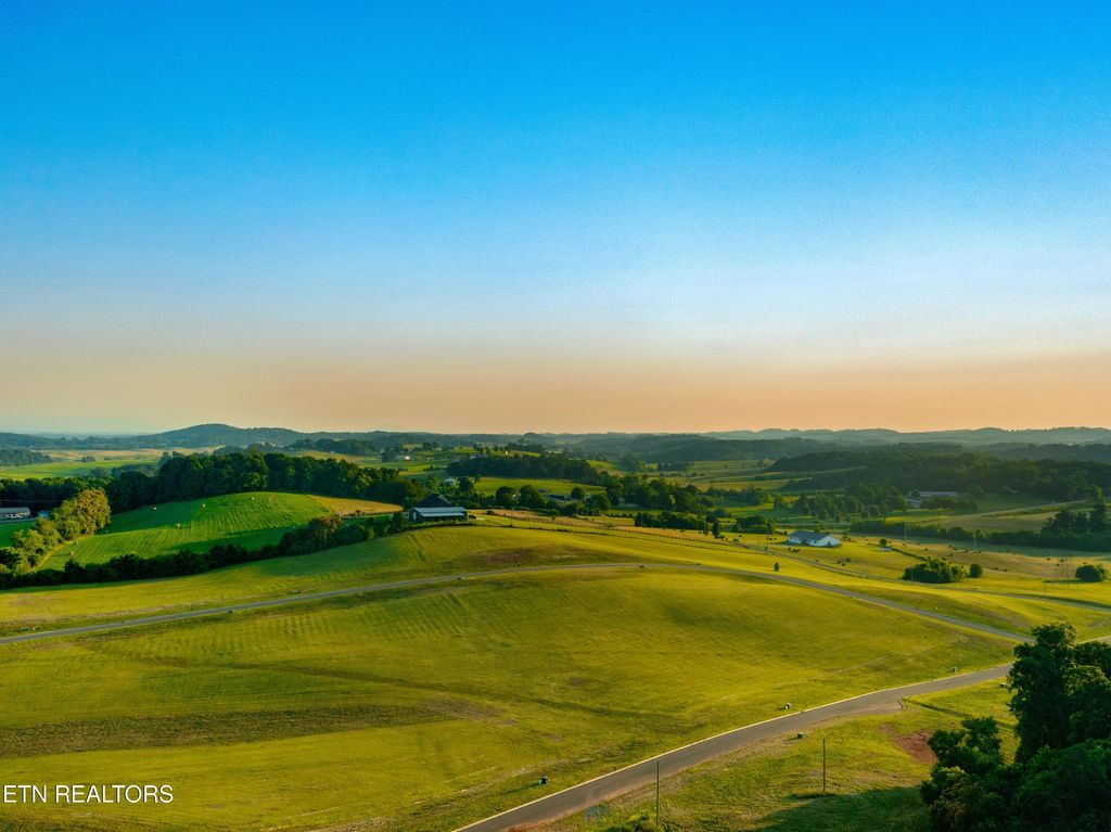 Photo of 56 Meadow Vista Way, White Pine, TN 37890 (MLS # 1311872)