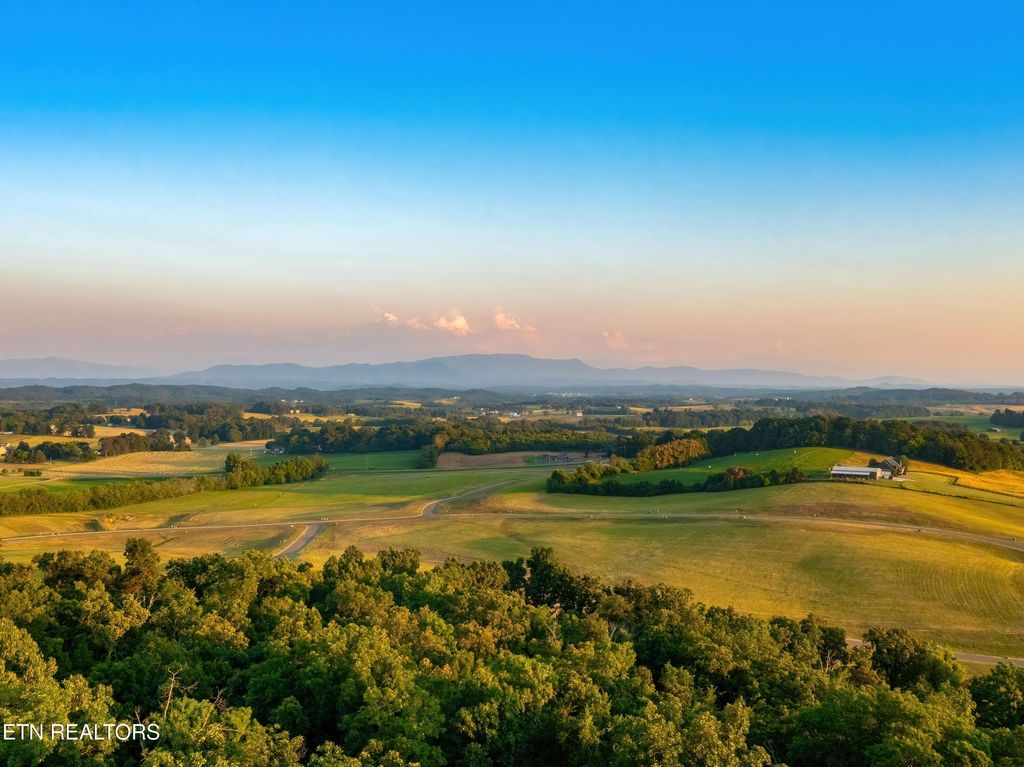 Photo of 56 Meadow Vista Way, White Pine, TN 37890 (MLS # 1311872)