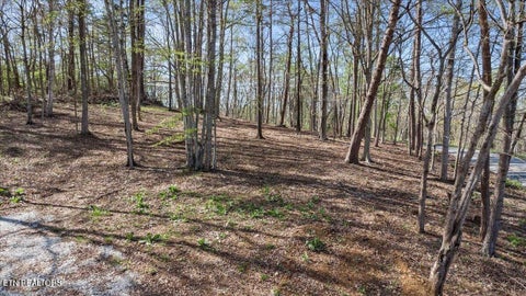Tiny photo for Demory Rd, LaFollette, TN 37766 (MLS # 1350459)