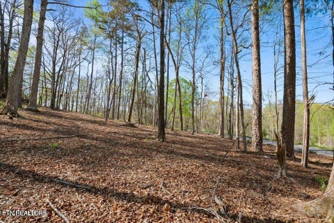 Tiny photo for Demory Rd, LaFollette, TN 37766 (MLS # 1350459)