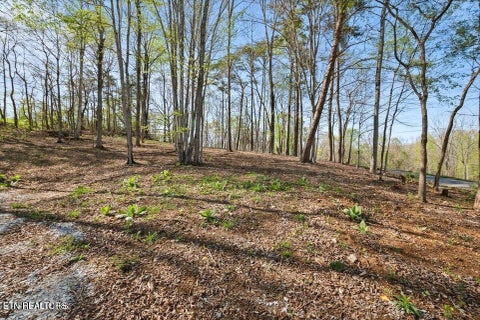 Tiny photo for Demory Rd, LaFollette, TN 37766 (MLS # 1350459)