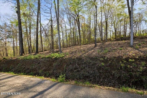 Tiny photo for Demory Rd, LaFollette, TN 37766 (MLS # 1350459)