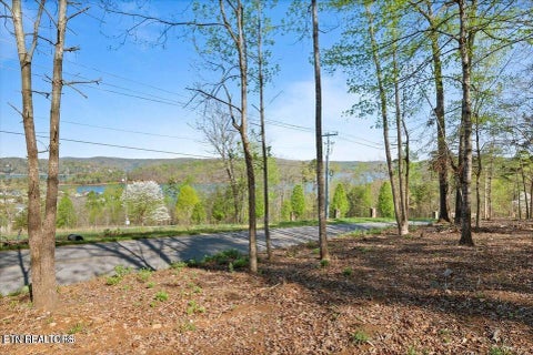 Tiny photo for Demory Rd, LaFollette, TN 37766 (MLS # 1350459)