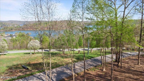 Tiny photo for Demory Rd, LaFollette, TN 37766 (MLS # 1350459)
