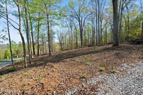 Tiny photo for Demory Rd, LaFollette, TN 37766 (MLS # 1350459)