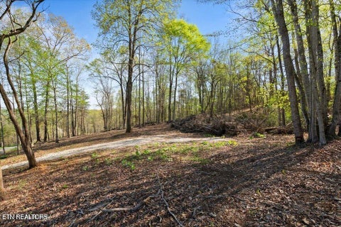 Tiny photo for Demory Rd, LaFollette, TN 37766 (MLS # 1350459)