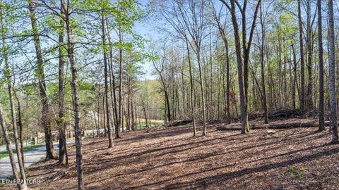 Tiny photo for Demory Rd, LaFollette, TN 37766 (MLS # 1350459)